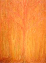 Orange forest, oil on canvas, 35x45 cm
