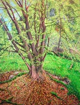 Tree in Kruh, oil on canvas, 90x 115 cm