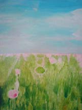 Poppy, oil on canvas, 50x65 cm