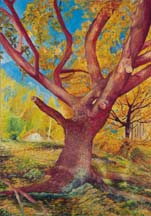 Oak tree, oil on canvas,  cm