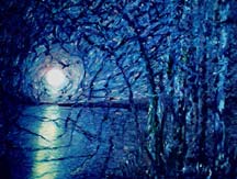 Moonrise, oil on canvas, 50x65 cm
