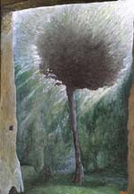 Sapling, oil on canvas, 43x60 cm