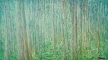 Blanket of fog, oil on canvas, 41x76 cm