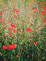 Wild poppy, oil on paper, 22,5x30 cm